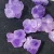 Import Natural gem crystal carved amethyst flower loose gemstone beads crystals rocks stones in bulk from China