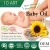 Import Natural Herbal Vitamin E Baby Care Massage Oil from Taiwan