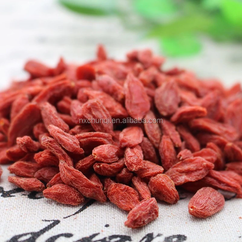 new arrival top quality fresh goji berry dried fruit from Ningxia China