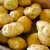 Import new crop fresh sweet yellow  potato mesh bag packing organic China potatoes from China