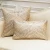 Import New Design 100%Polyester Silk Jacquard Abstract Home Outdoor Decorative Couch Sofa Floor Cushion Pillow Case Cover from China