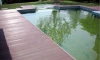New design wood composite/wpc decking with low price