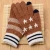 Import New Design Wool Polyester Acrylic Knitted Touch Screen Lovely Star Winter Gloves from China