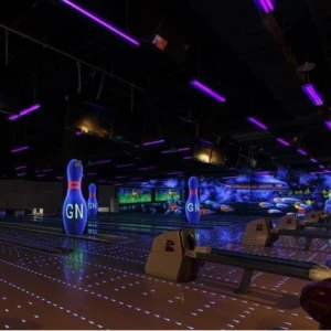 New Glow USBC standard Bowling Synthetic Lane