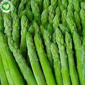 new season cheap fresh frozen vegetable asparagus