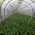 Import new style ETFE Greenhouse Film as protection from China