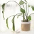 Import Nordic Style Hot Selling in Amazon Decorative Desk Flower Planter Kraft Paper Flower Pot Planter from China