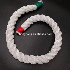 Nylon Ropes with Twisted and Braided Types, Weighs 220kg