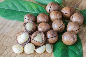 Organic Certified Macadamia Nuts High Quality