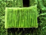 Organic fresh Asparagus