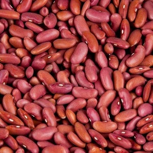 Organic  red and white  kidney bean