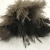 Import Ostrich Duster Quality Ostrich Feather Duster With Wooden Handle from China