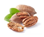 Pecan Nut, Roasted Salted Pecans/Raw Pecan Nuts With Shell