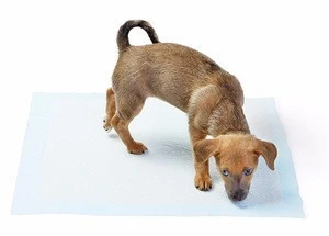 Pet Puppy Training Pads Dog Pee Potty Pad 400 counts 23&quot; by 23&quot; Super Absorbent Leak Proof Wee Pad