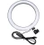 Import Photographer Light LED Ring 6Inch For Youtube Anchor from China