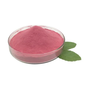 Pincredit Pomegranate Fruit 100% Natural Red Pomegranate Juice Powder