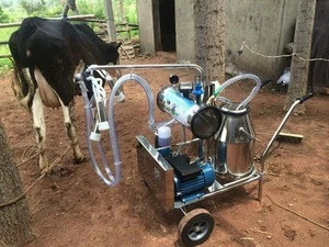 Piston pump electric driven single goat milking machine