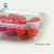 Import Plastic Fruit Box Clear Plastic Fruit Container Vegetable Box With Lid Fruit Container Plastic New Design from China