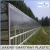 Import polycarbonate greenhouse polycarbonate sheet price from China