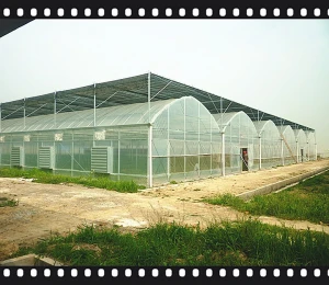 Portable Stable Structure  Glass Garden Greenhouse
