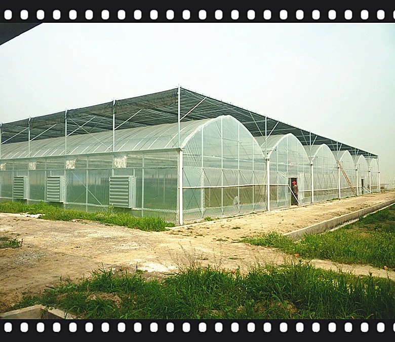 Portable Stable Structure  Glass Garden Greenhouse