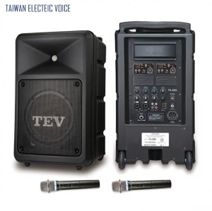 Portable Wireless PA system with dual handheld microphones