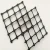 Import PP Biaxial Geogrid 3030 Plastic Civil Engineering Construction Geogrid from China