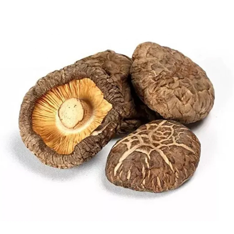 price for organic mushroom dry shiitake dried shiitake mushroom