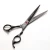 Import Professional best Hair Dressing Hait Stylist Salon Barber Product Shears cutting Scissors from Pakistan
