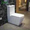 Professional factory supply high quality floor mounted ceramic wc toilet prices