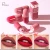 Import Pudaier Mini Capsule Matte Liquid Lipstick 18 Shades Waterproof Nude Color Private Label from China