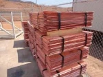 Pure Copper Cathode 99.99%
