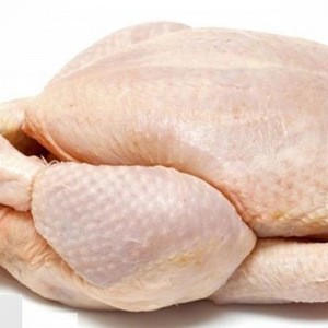 Quality Halal Frozen Chicken ,halal brazil chicken,halal chicken frozen chicken feet for sale