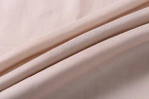 R36*R36 high level 100% Pure Ramie fabric for dress sale with best price
