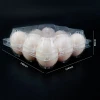 Recyclable custom egg container tray, creative plastic 9 holes chicken egg packaging box