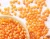 Import Red lentil  pure organic form Turkey best quality from Canada
