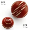 RSM Cricket Red Hard Ball