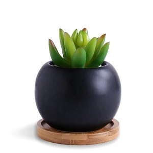 Sale Round pots Indoor small succulent pots with Bamboo Tray