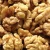 Import Sample Walnuts Without Shell Walnuts Kernels Halves for Testing from Austria