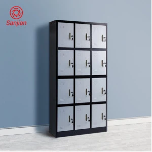 Sanjian KD structure new vertical furniture changing clothes storage cabinet 12 swing doors separate space steel metal lockers