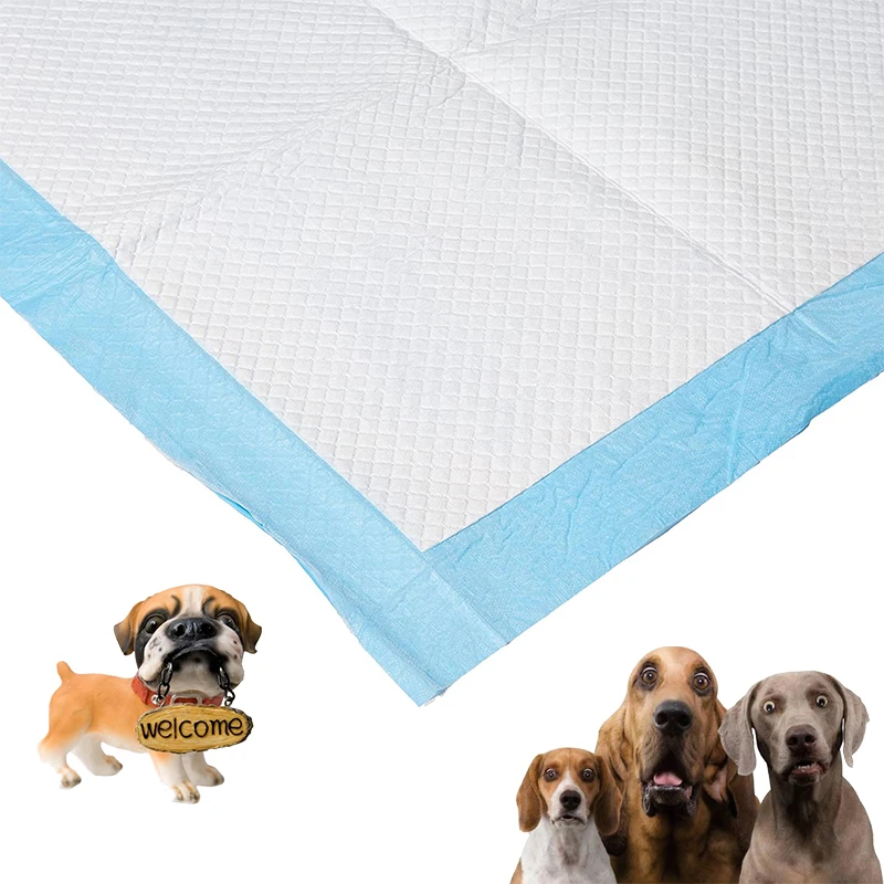 Share OEM ODM 100 Pack Amazon Blue Puppy Dog Training Pet Pee Pad with Private Label,Pet Training Pads,Disposable Training Pet