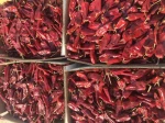 Single spices paprika and chilli single spices herbs seasoning peppers powder