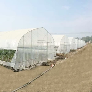 Skyplant Large Plastic Agricultural Greenhouse PE flim Hot Sale