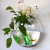 Import Small Cheap Clear Plastic Acrylic Wall Mounted Semicircle Fish Bowl from China