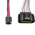 Import Splitter 1 to 4 Way with 6 Pin Wire Harness Assembly for LED from China