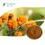 Import SQT 100% Natural poultry feed additive lutein/Zeaxanthin 5% , 20% , 40% /Marigold Extract from China
