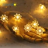 String Lights for Xmas Wedding Party New Year Celebrity RGB LED Decoration String Various Patterns,10m 100 Bulbs, ZDH-100