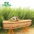 Import Style and Wicker Coffin Funeral Supplies Hot Sale European for Adult Custom Color 200 KGS 400 Pcs Lantian WC1801T 5 Days Carton from China