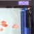 Import SUNSUN CUP-809 Aquarium Fish Tank Accessories Water With UV Lamp Internal Pumps Filter Pump from China