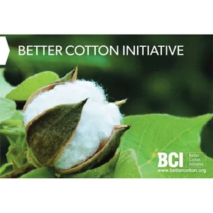 Super fine 100% Organic BCI Certificate Cotton Yarn